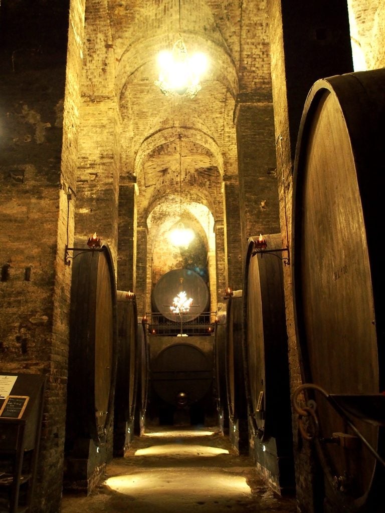 Explore the Historical Wine Cellars beneath Montepulciano